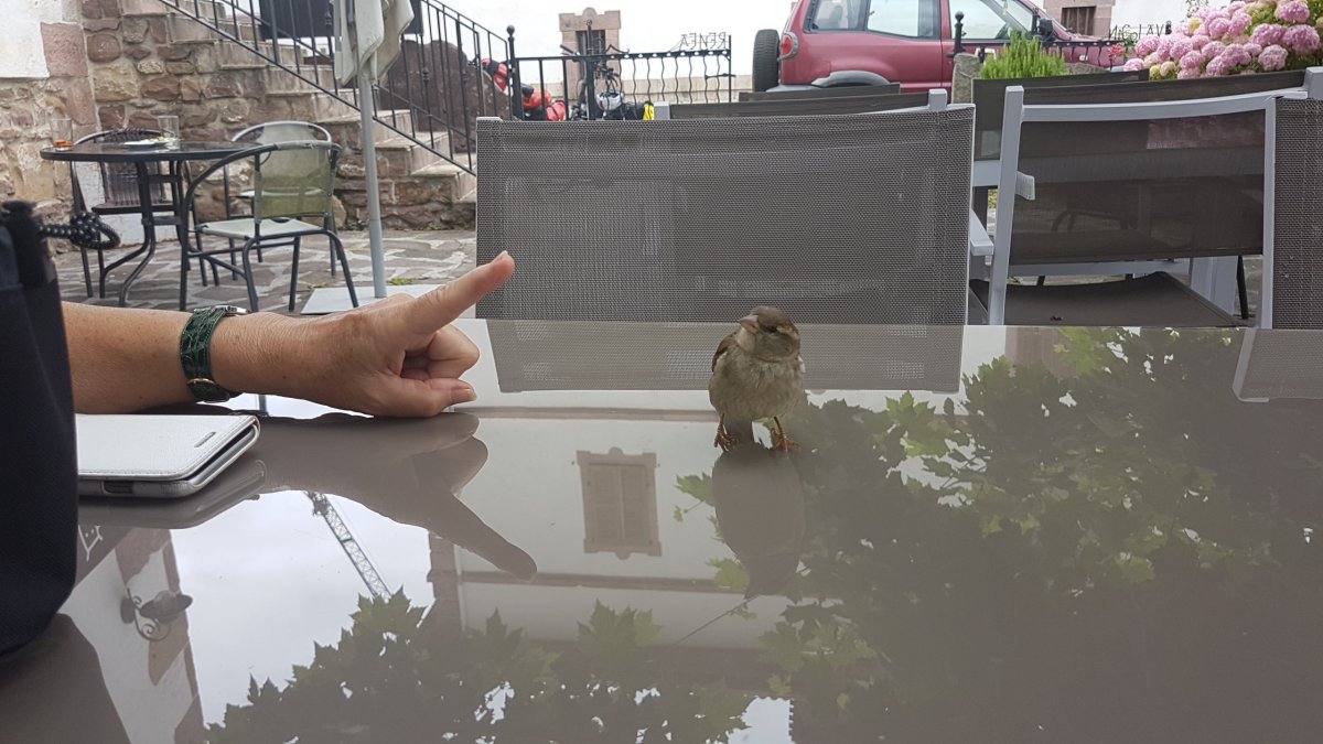 20170612_131206.jpg 12. Juni 2017 