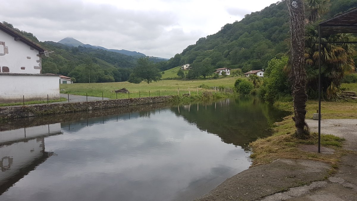 20170612_145109.jpg 12. Juni 2017 