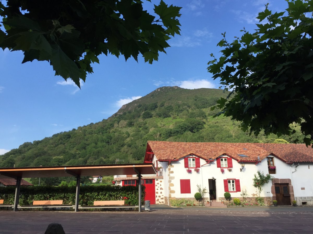 20170613_090151 018521d801fb88988579c8c34ce07841bd21221904.jpg 13. Juni 2017