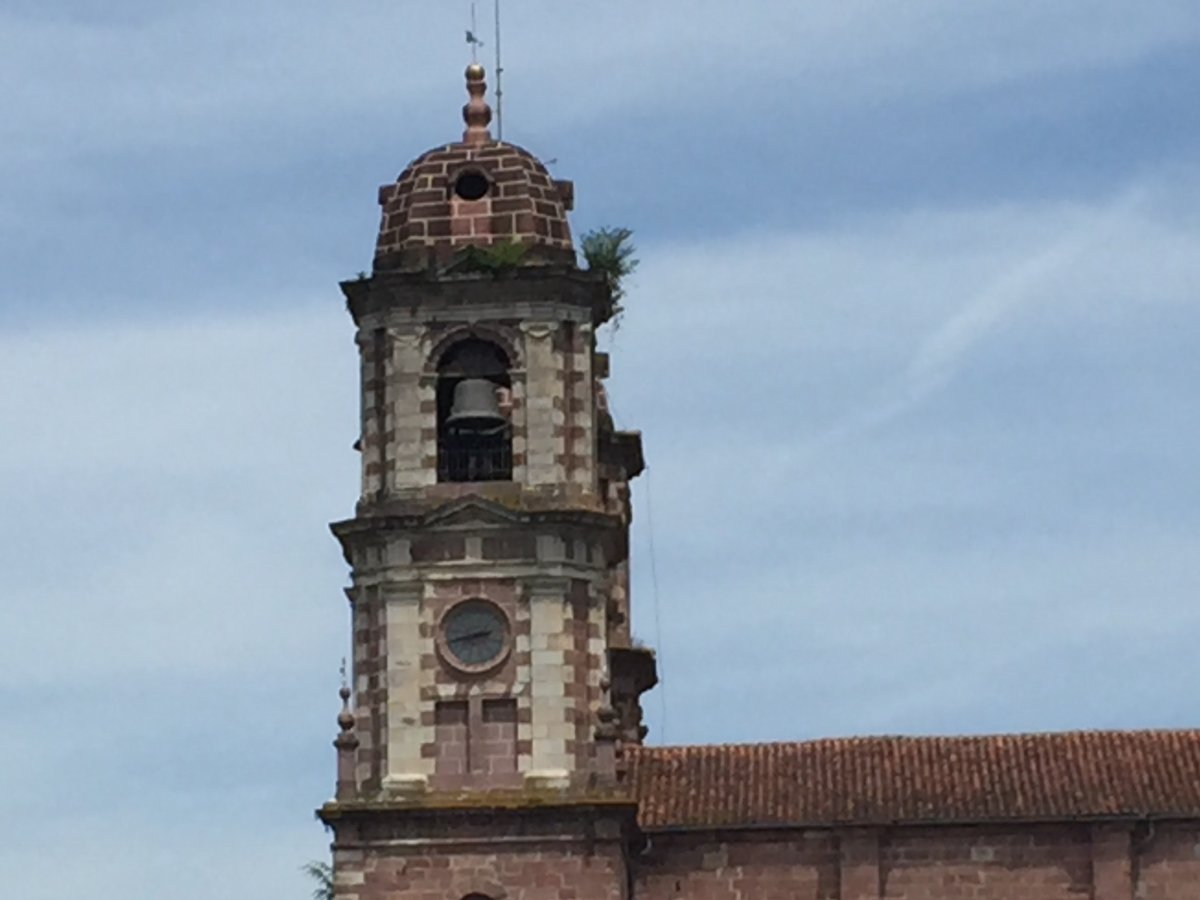 20170613_144337 01d9d7380a890dc2ae2be806818bb879273c1f051a.jpg 13. Juni 2017