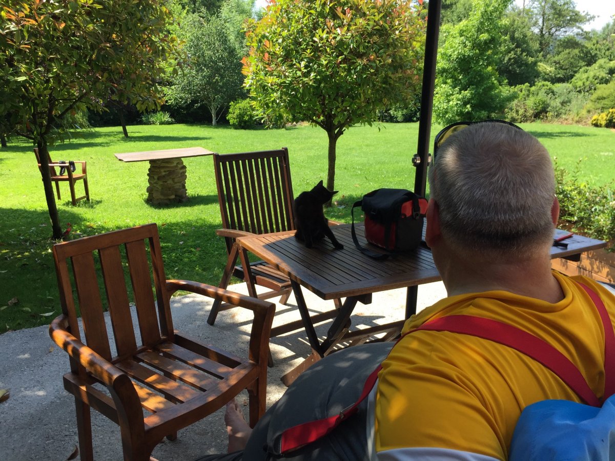 20170614_121031 012e19482ea2f7f78ce5f08223777746522820ac89.jpg 14. Juni 2017 