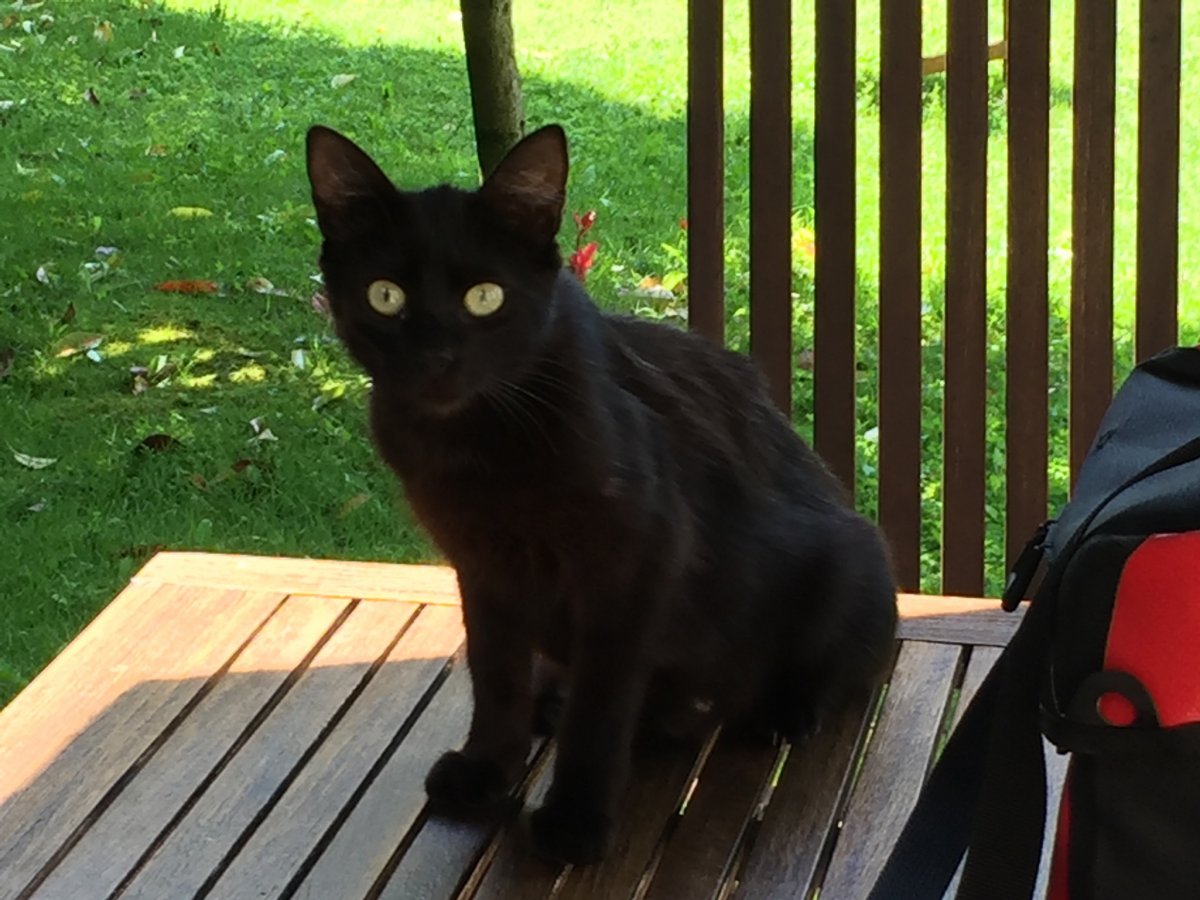 20170614_121121 0164116f3016568cf7675327fb02c38af3540a71b5_0.jpg 14. Juni 2017 