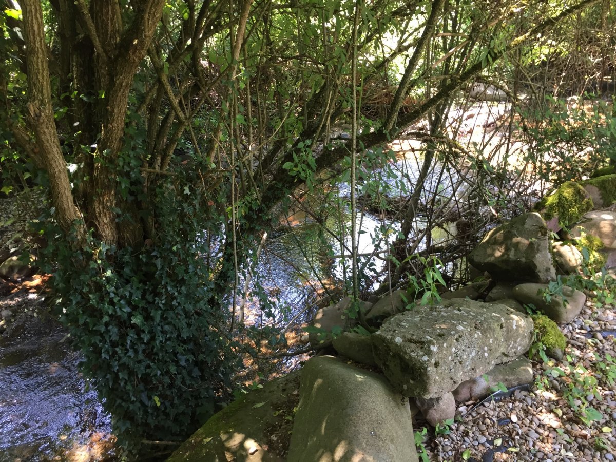 20170614_134631 0178e5c9cef56bc80cdaf59d82a0a9910206252b32.jpg 14. Juni 2017 