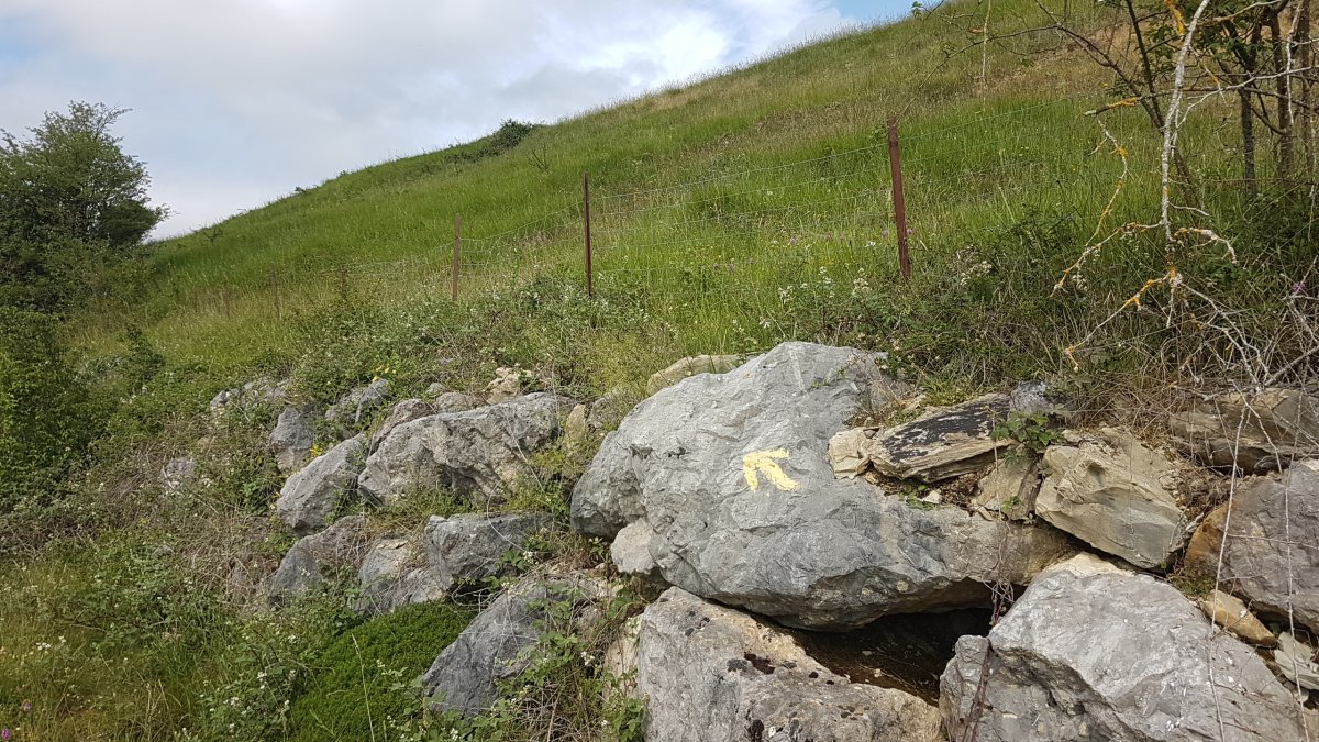 20170615_105603.jpg 15. Juni 2017