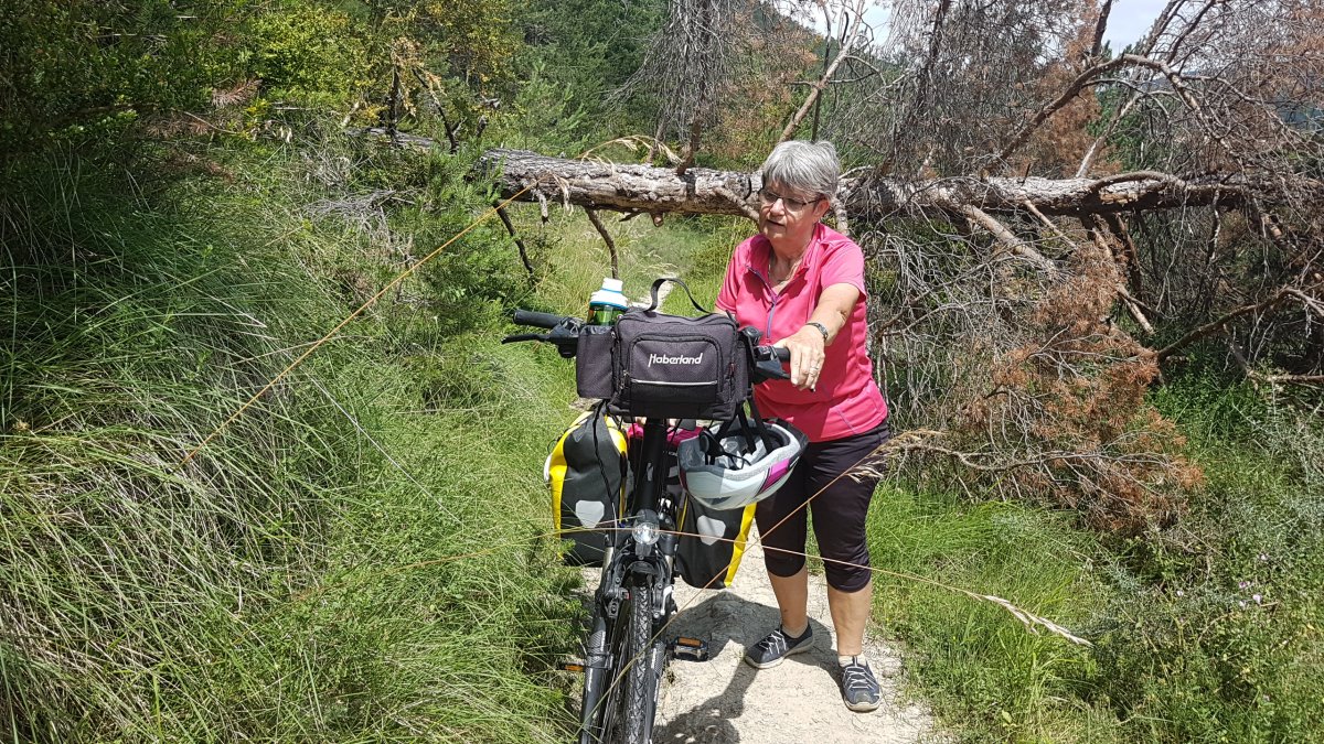 20170615_124800.jpg 15. Juni 2017 