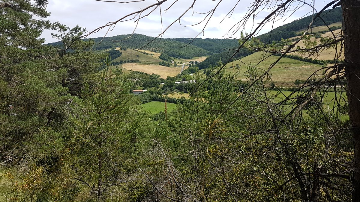 20170615_124910.jpg 15. Juni 2017 