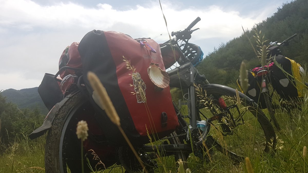 20170615_135134.jpg 15. Juni 2017 