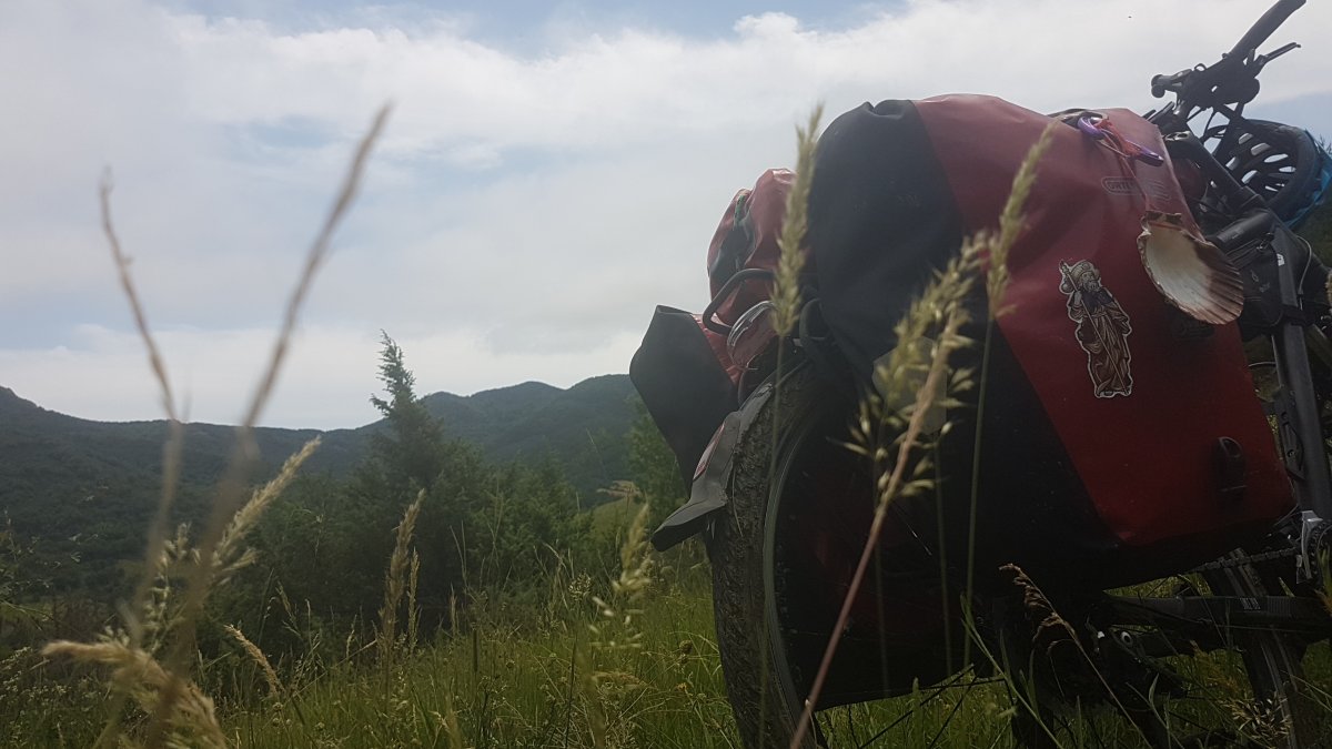 20170615_135137.jpg 15. Juni 2017 