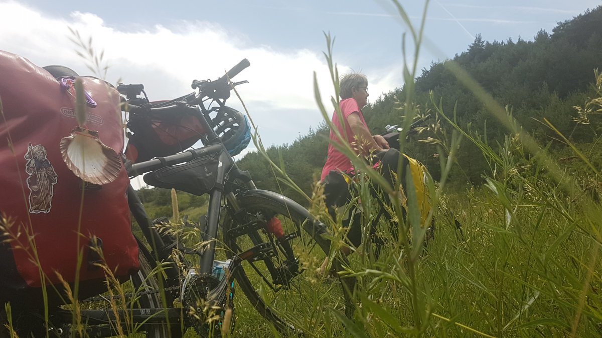 20170615_135157.jpg 15. Juni 2017 