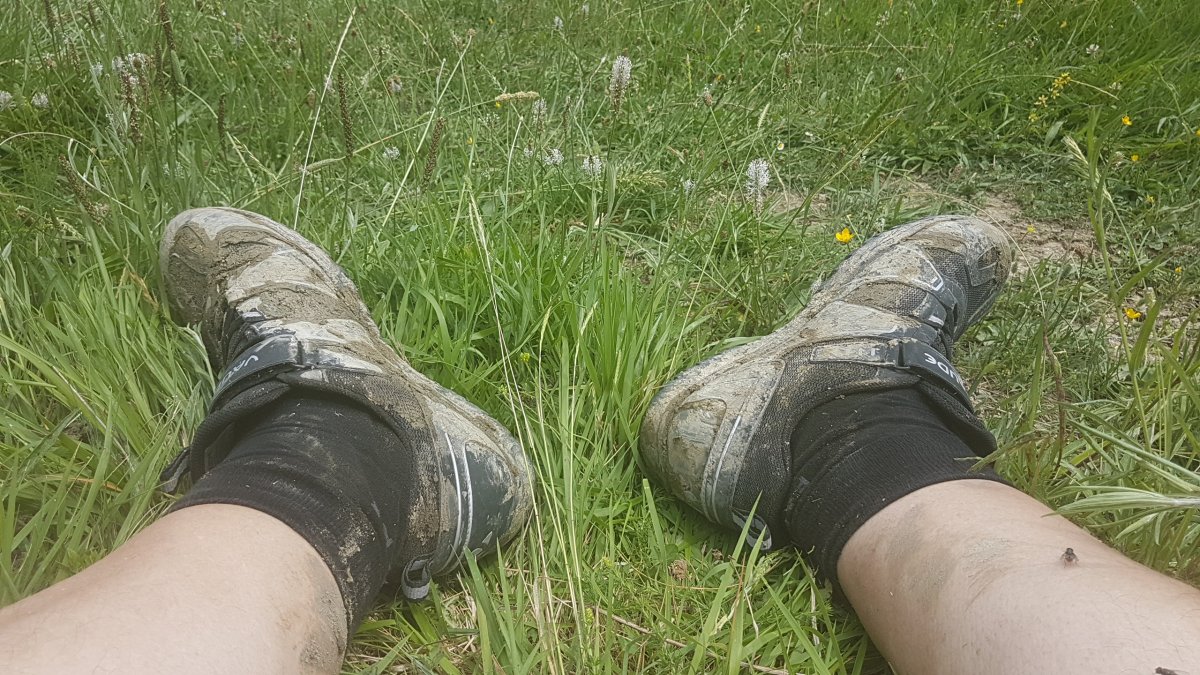 20170615_135226.jpg 15. Juni 2017 