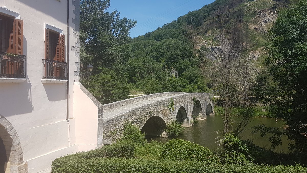 20170615_161530.jpg 15. Juni 2017 