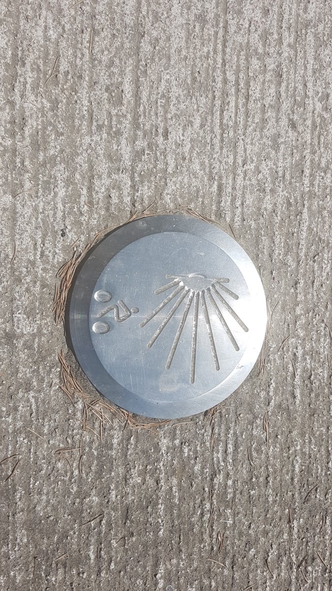 20170615_165406.jpg 16. Juni 2017