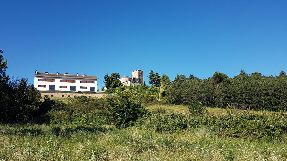 20170617_092410.jpg 17. Juni 2017 