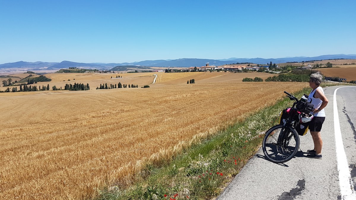 20170617_125303.jpg 17. Juni 2017 