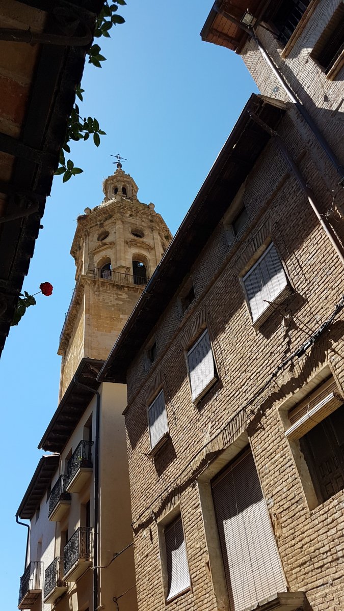 20170617_152656.jpg 17. Juni 2017