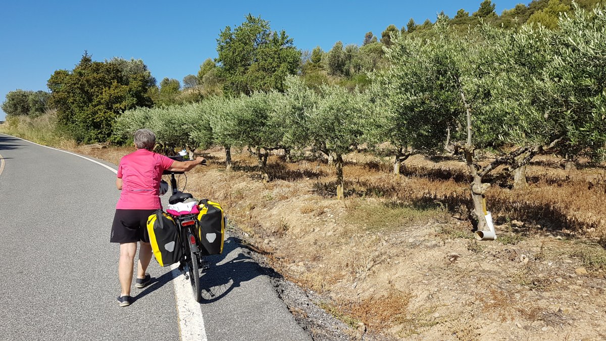 20170618_0940240.jpg 18. Juni 2017 