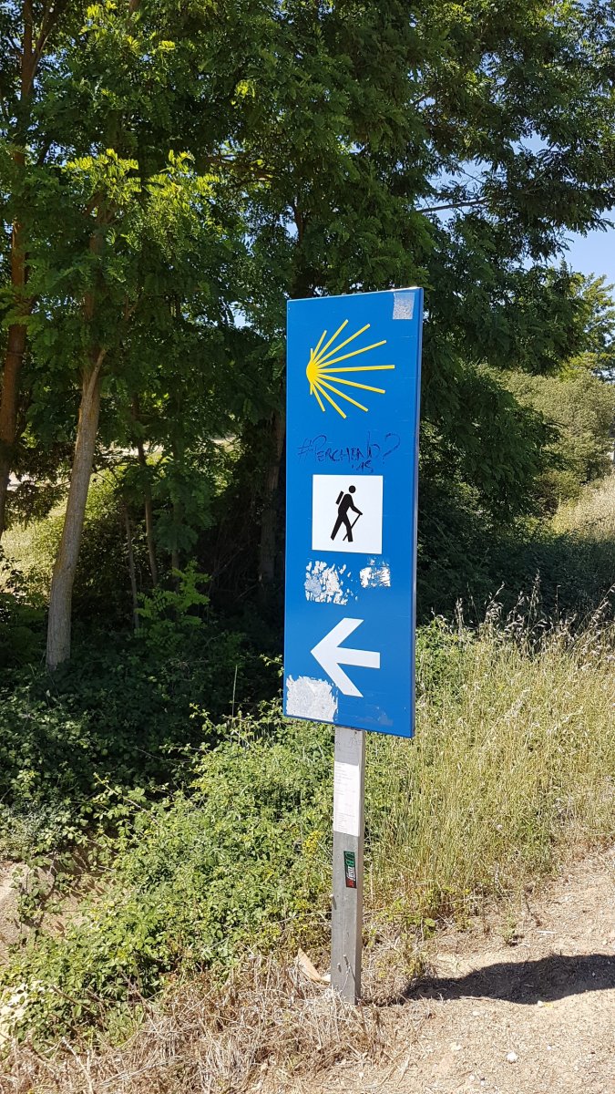 20170618_124450.jpg 18. Juni 2017 