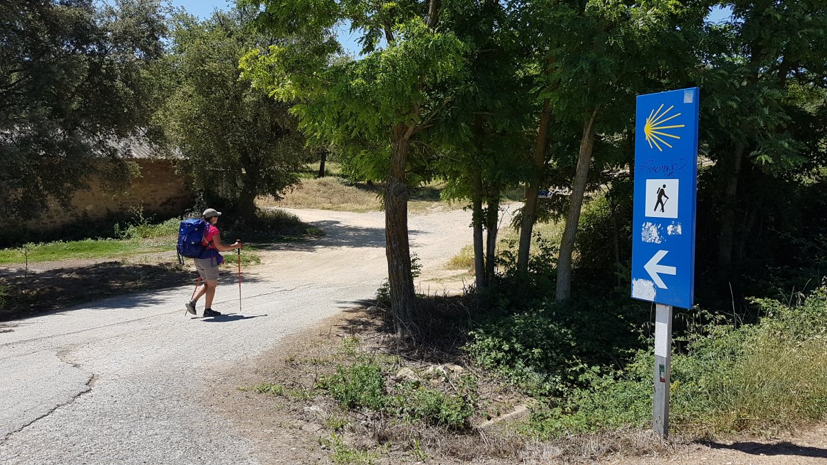 20170618_124554.jpg 18. Juni 2017 