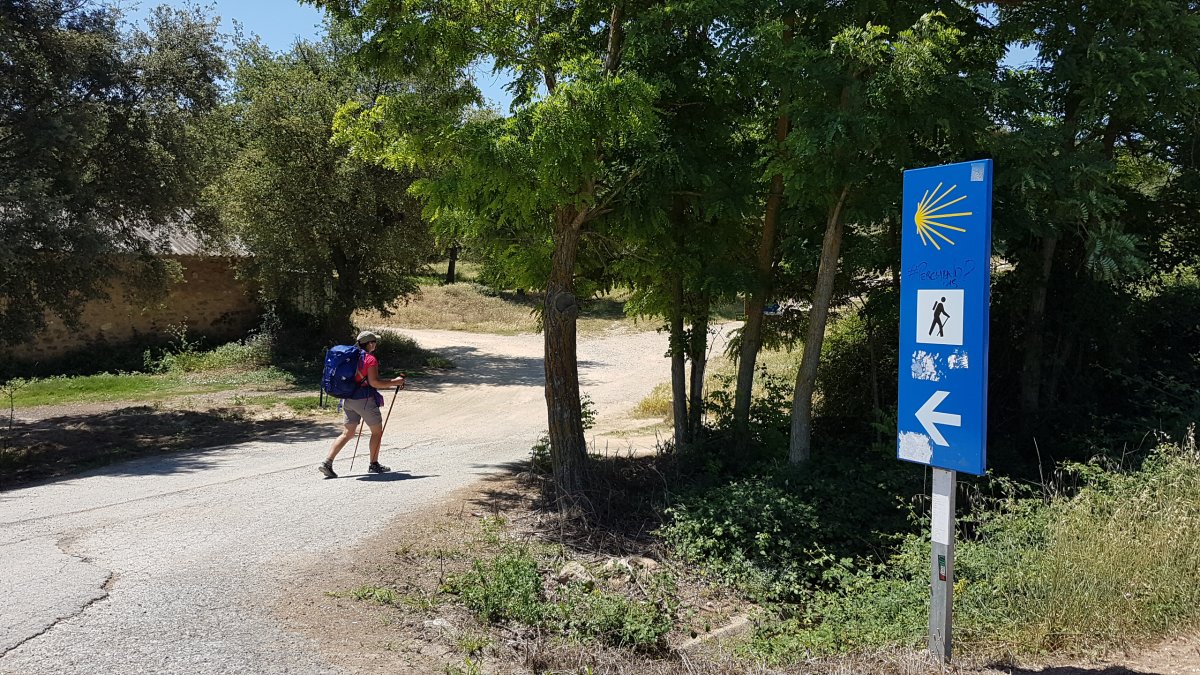 20170618_124555.jpg 18. Juni 2017 