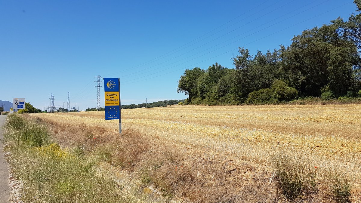 20170618_124758.jpg 18. Juni 2017