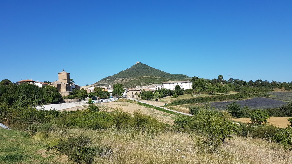 20170619_100843_001.jpg 19. Juni 2017 