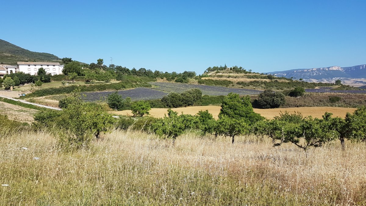 20170619_100851.jpg 19. Juni 2017 