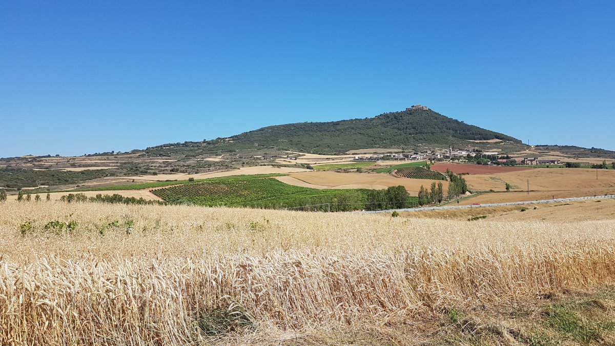 20170619_112403.jpg 19. Juni 2017 