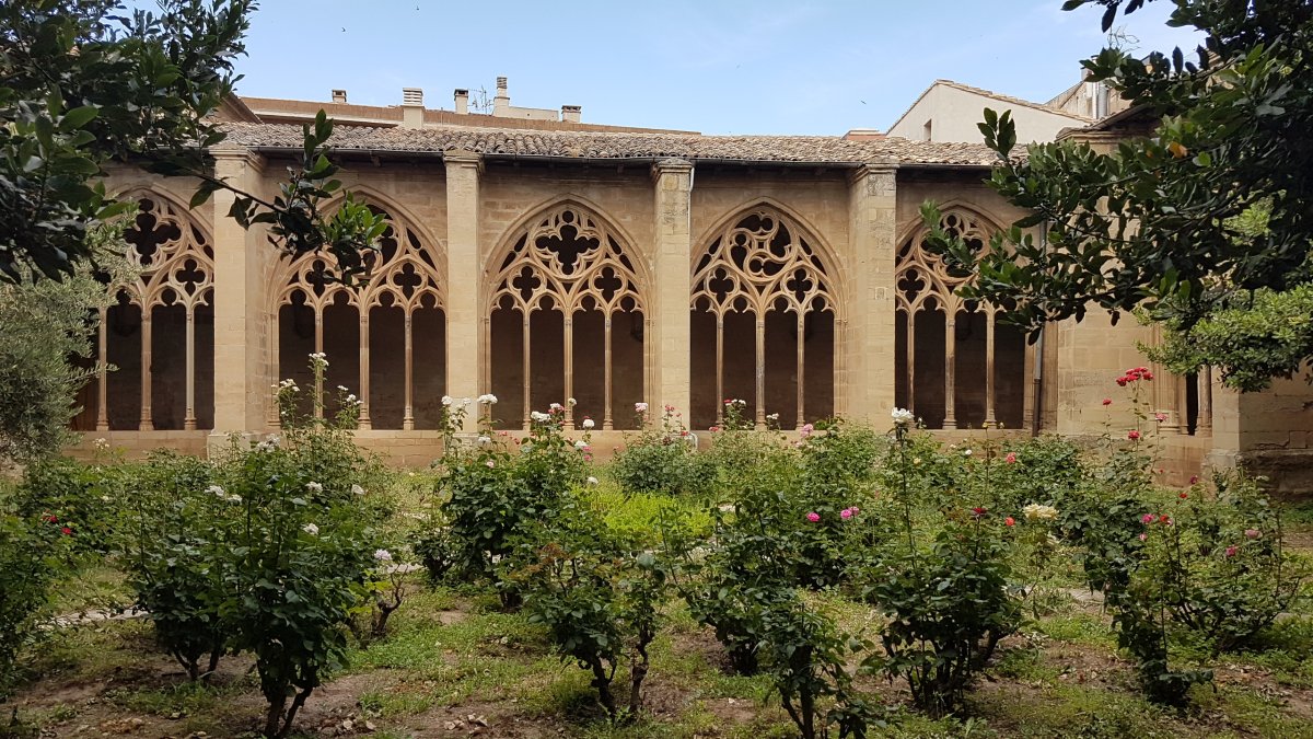 20170619_182131.jpg 19. Juni 2017