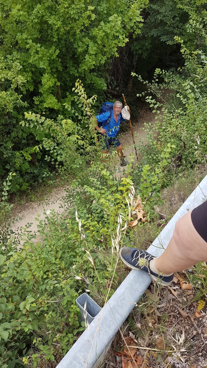 20170620_102603.jpg 20. Juni 2017 