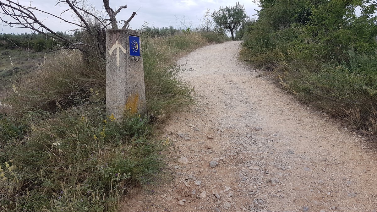 20170620_103646.jpg 20. Juni 2017 