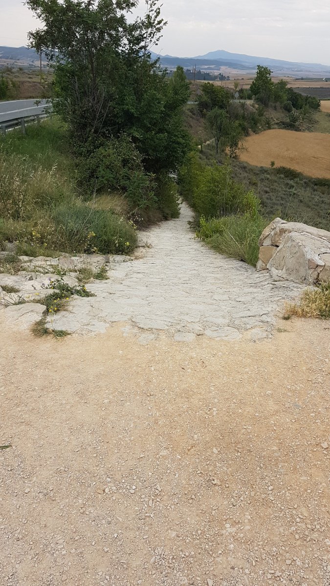 20170620_103653.jpg 20. Juni 2017 