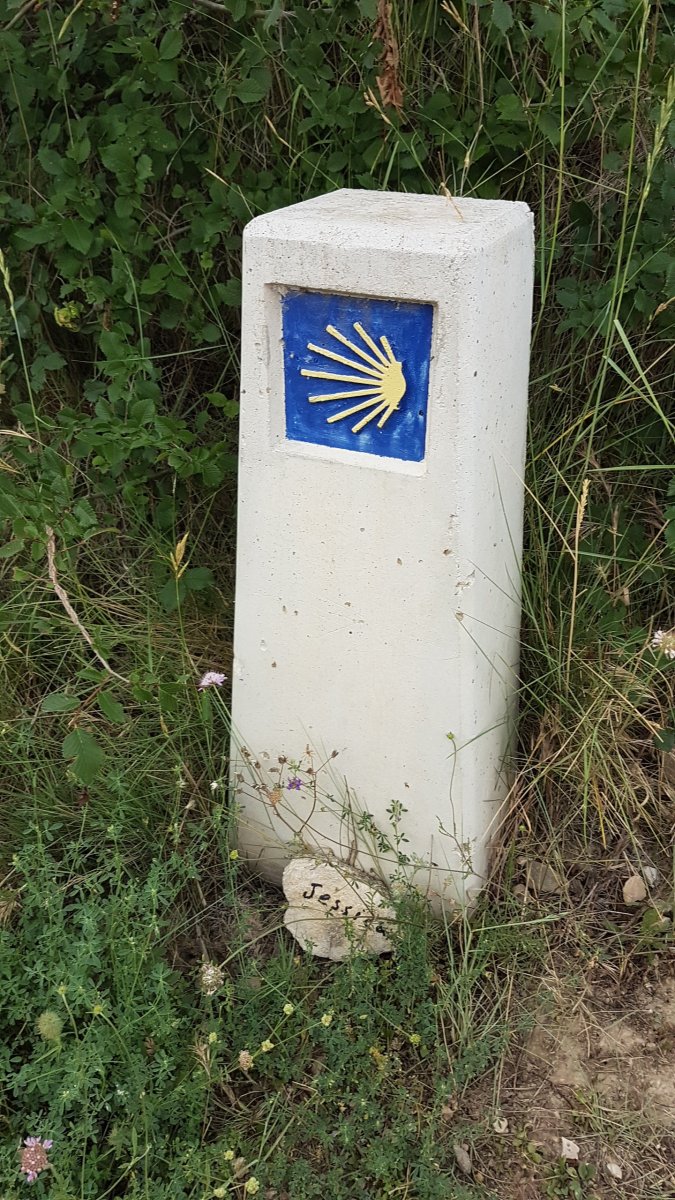 20170620_104100.jpg 20. Juni 2017 