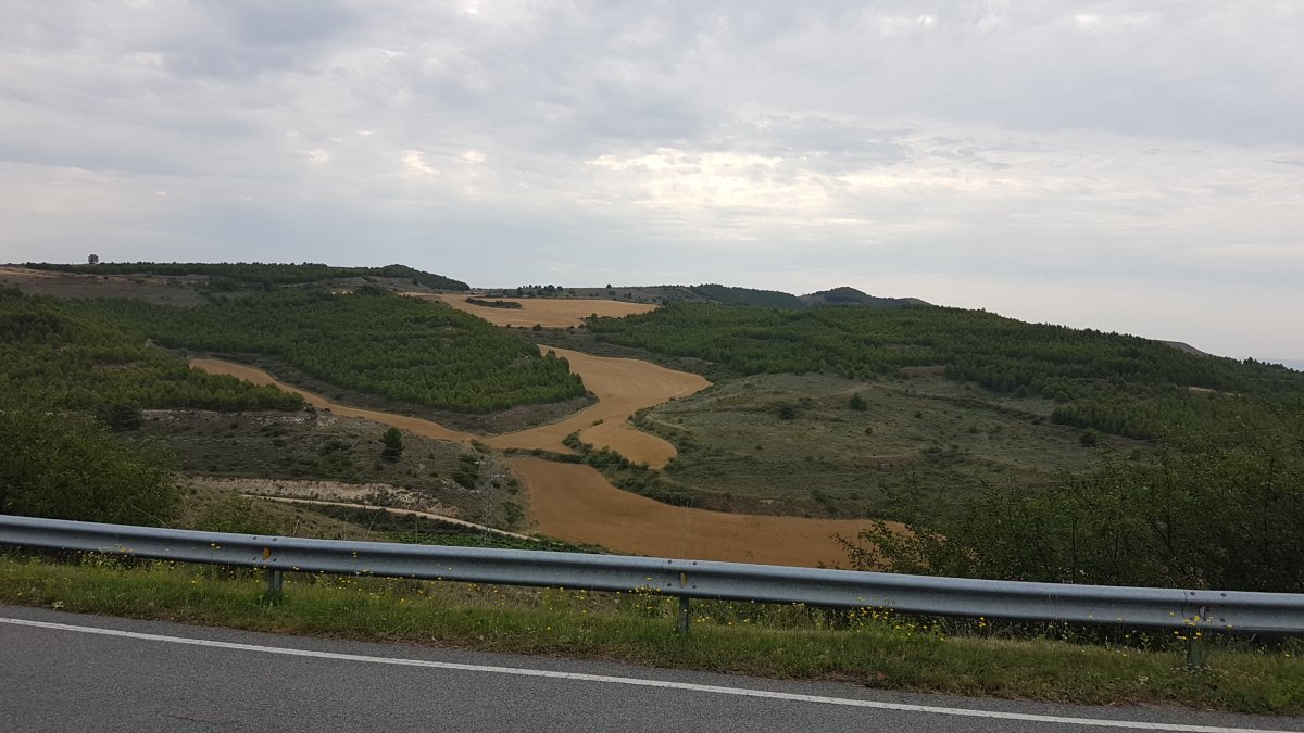 20170620_110216.jpg 20. Juni 2017 