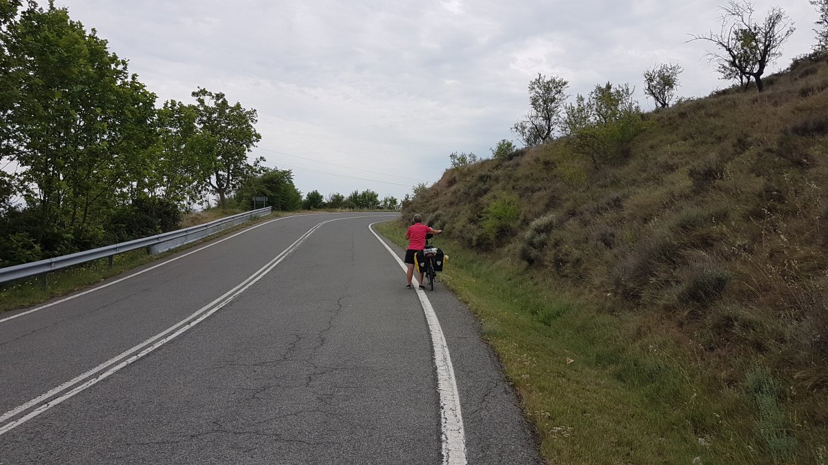 20170620_110219.jpg 20. Juni 2017 