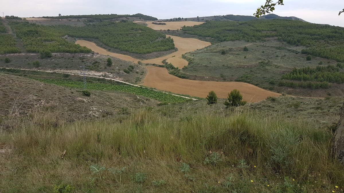 20170620_110405.jpg 20. Juni 2017 