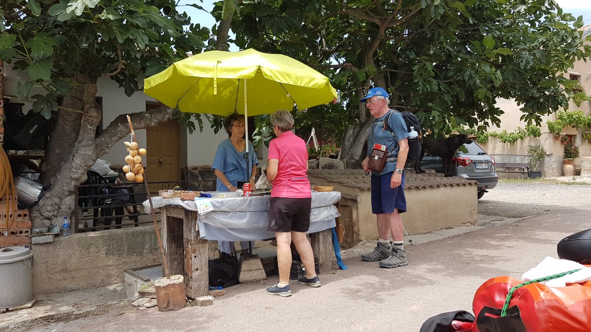 20170620_141917.jpg 20. Juni 2017