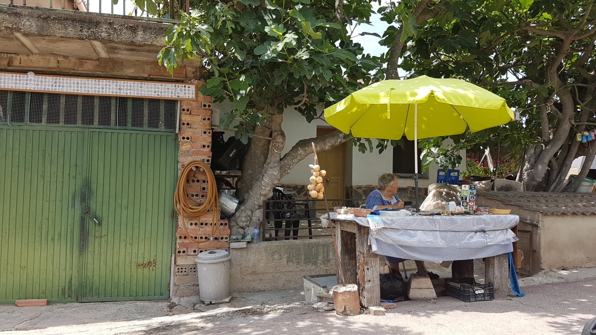 20170620_143548.jpg 20. Juni 2017 