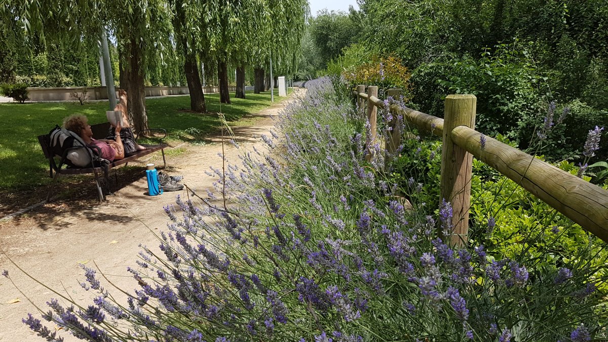 20170620_144513.jpg 20. Juni 2017 