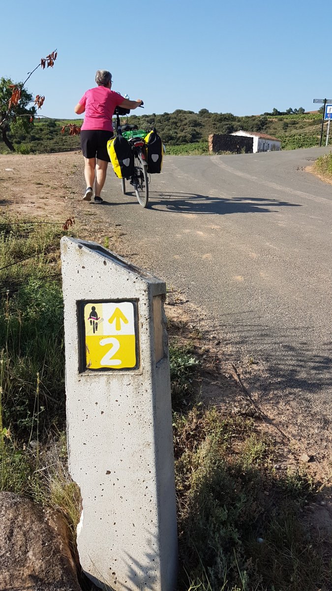 20170621_093247.jpg 21. Juni 2017 