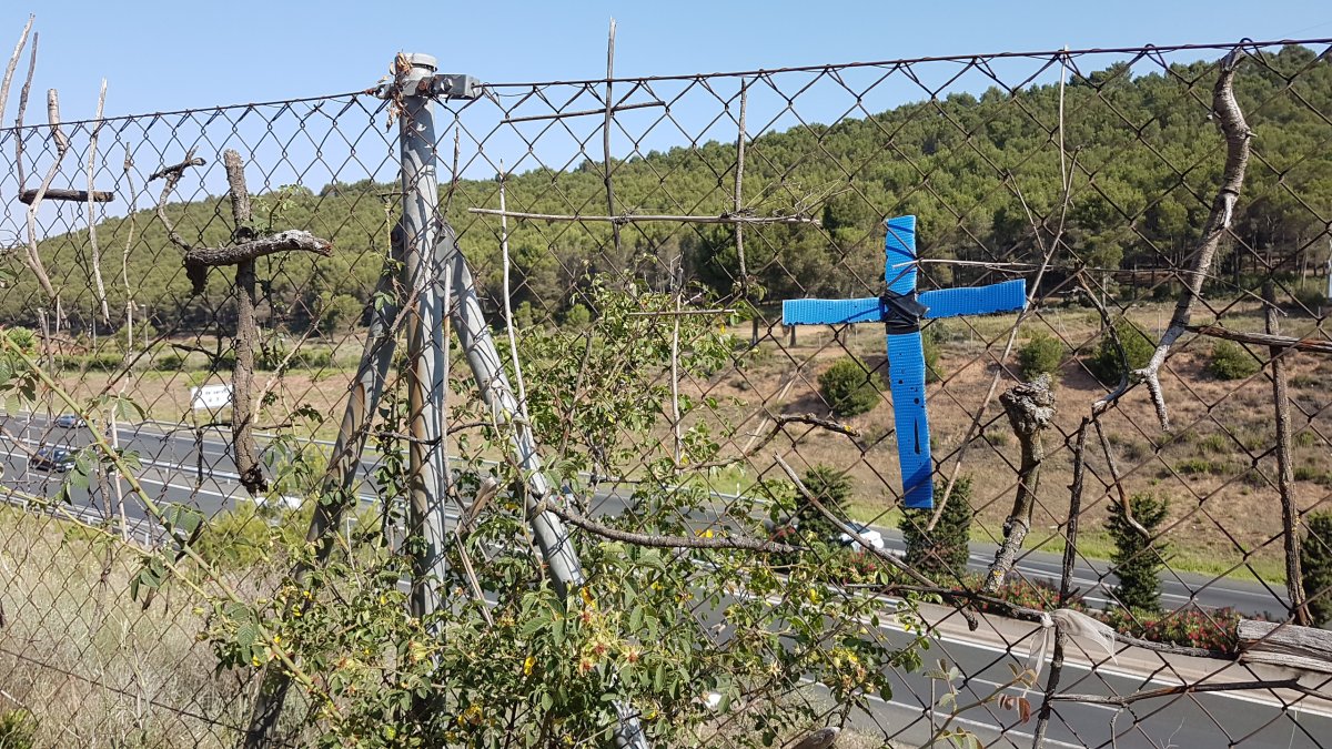 20170621_101124.jpg 21. Juni 2017 