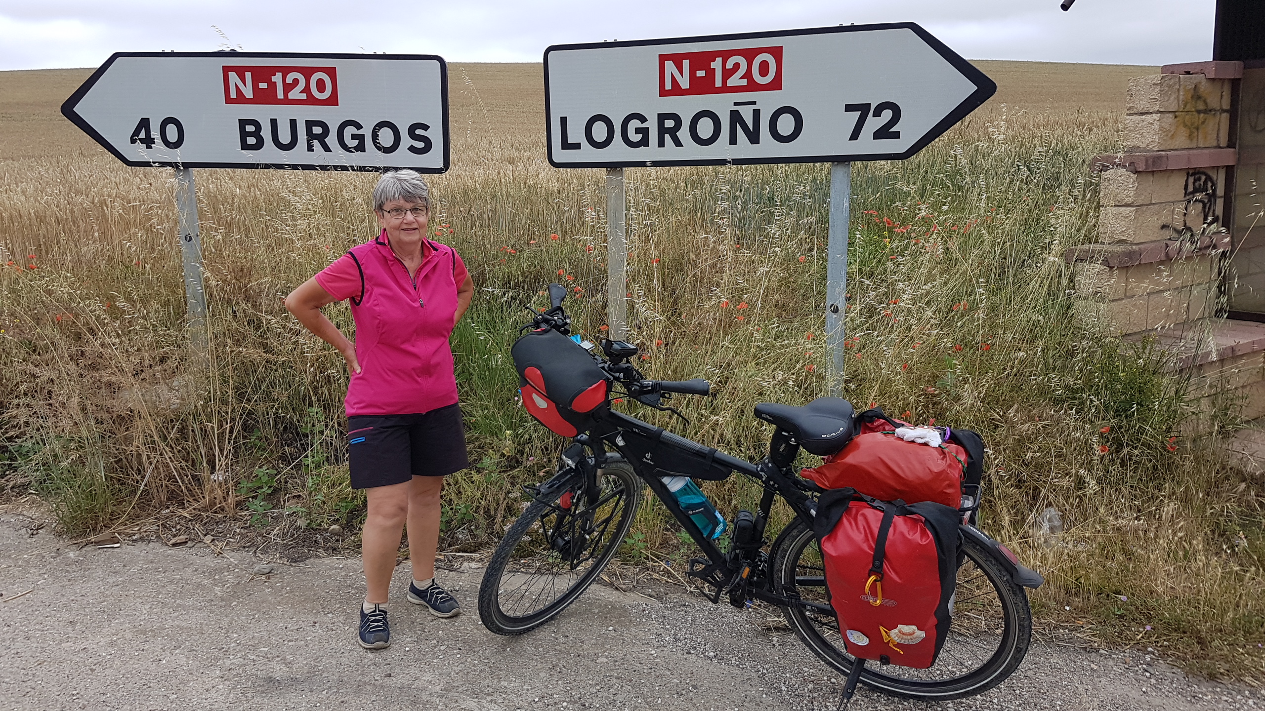 20170624_090828.jpg  24. Juni 2017