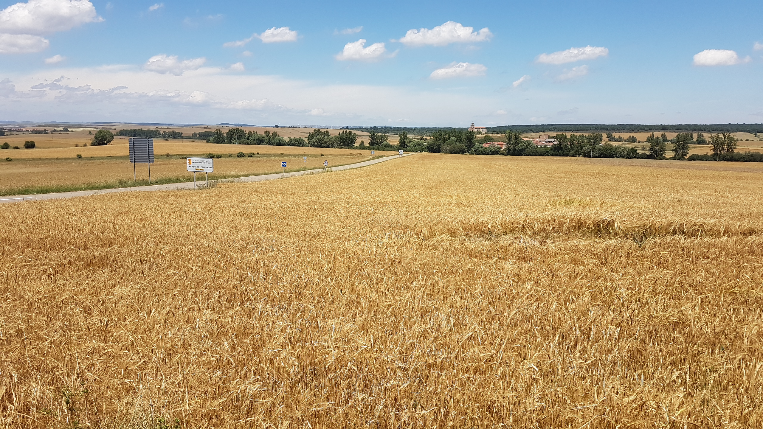 20170624_143042.jpg  24. Juni 2017