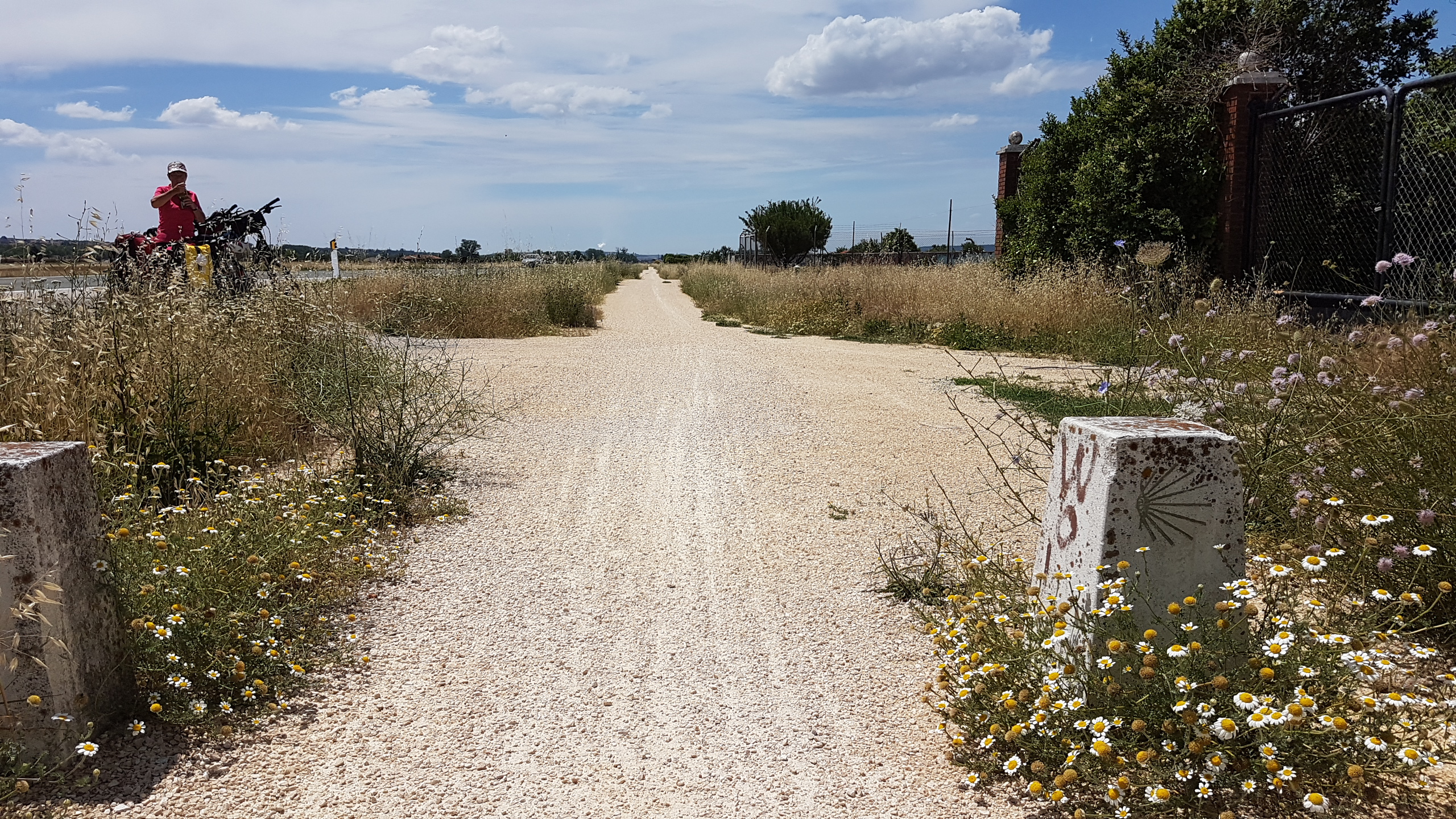 20170624_153550.jpg  24. Juni 2017