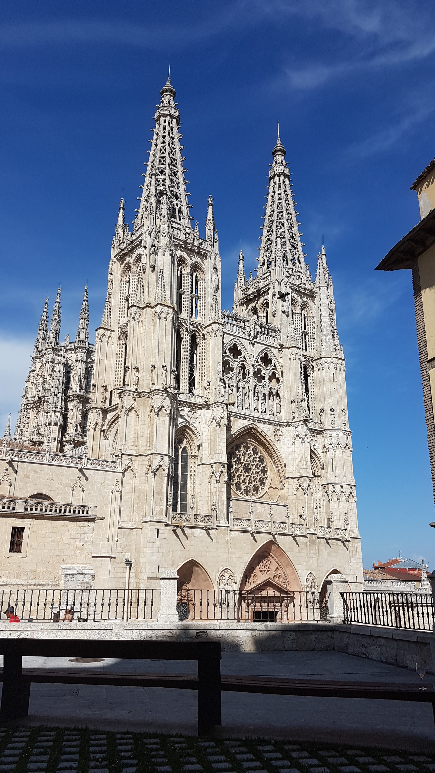 20170624_180500.jpg  24. Juni 2017