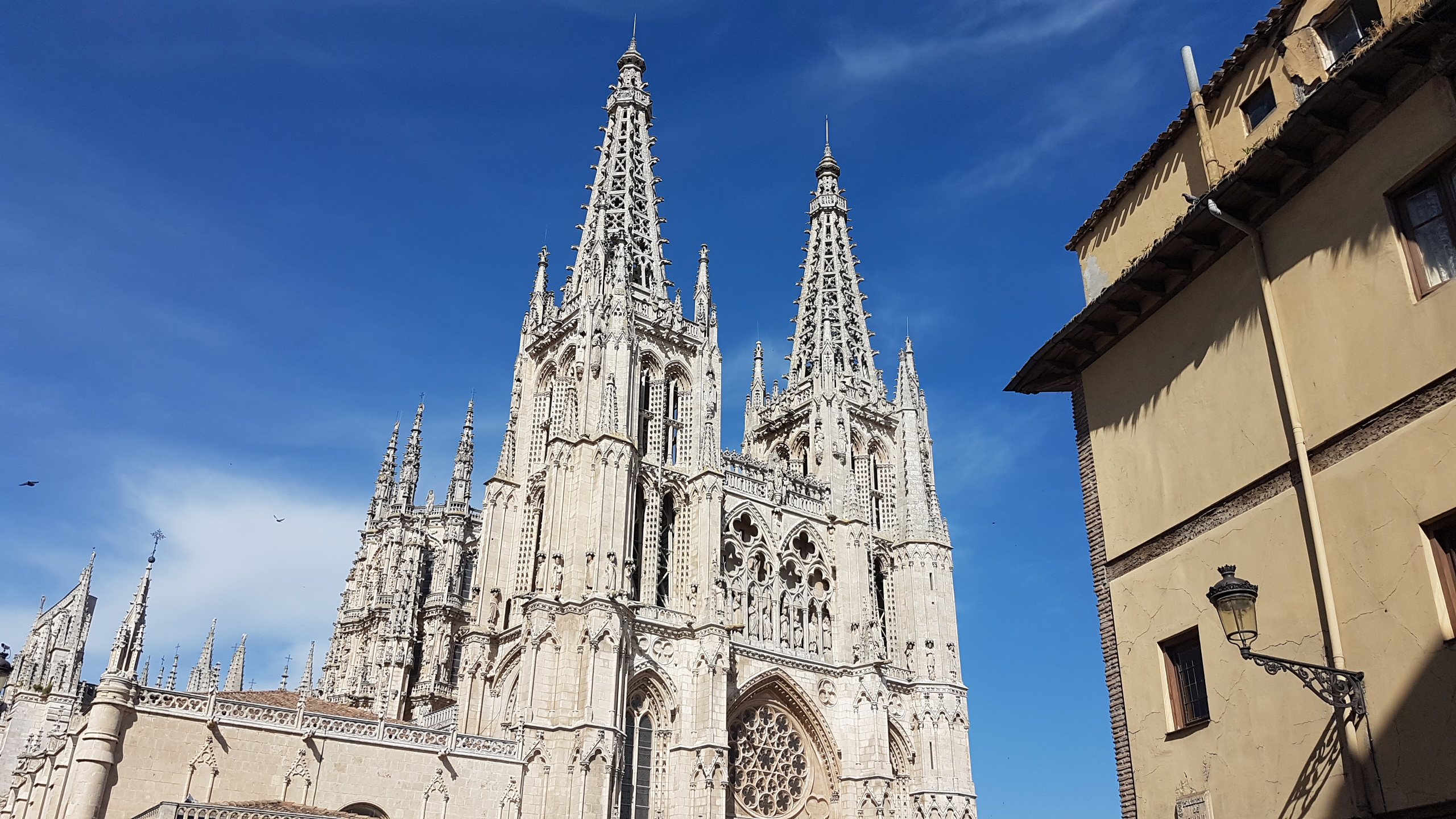 20170624_180510.jpg  24. Juni 2017