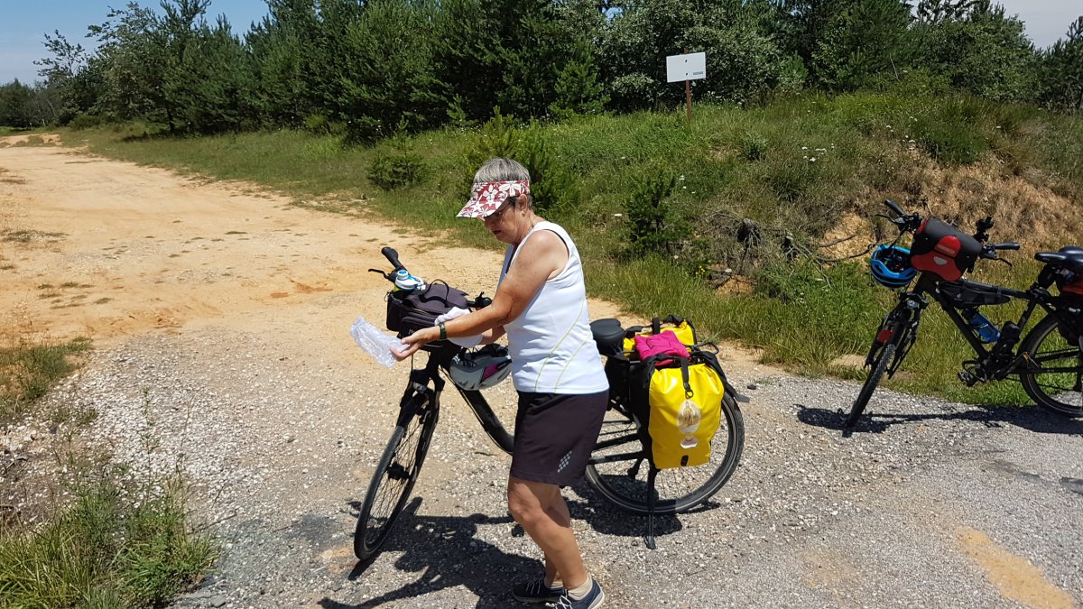 20170624_133059.jpg 24. Juni 2017