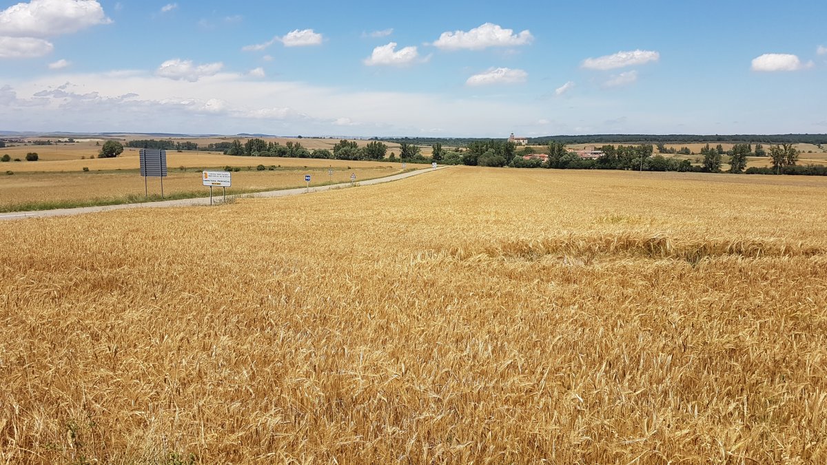 20170624_143042.jpg 24. Juni 2017