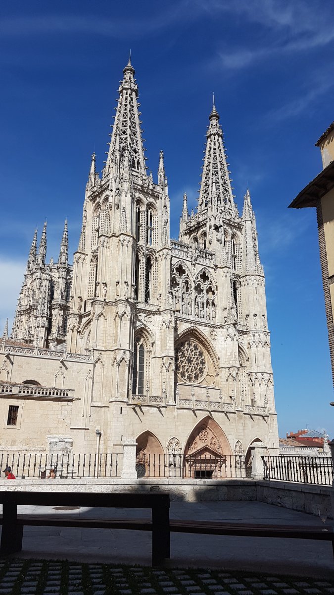 20170624_180500.jpg 24. Juni 2017