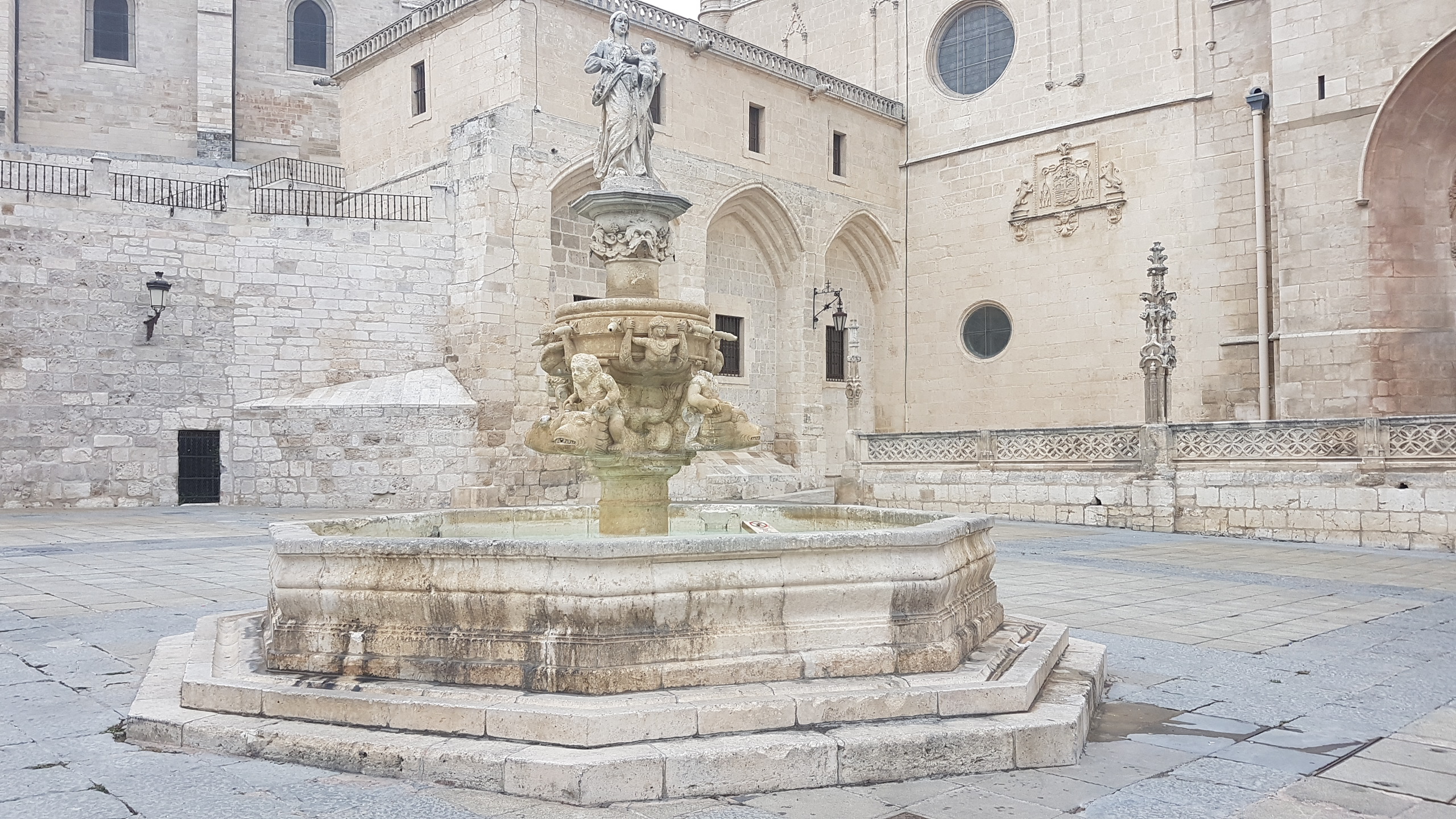 20170625_152144_001.jpg  25. Juni 2017