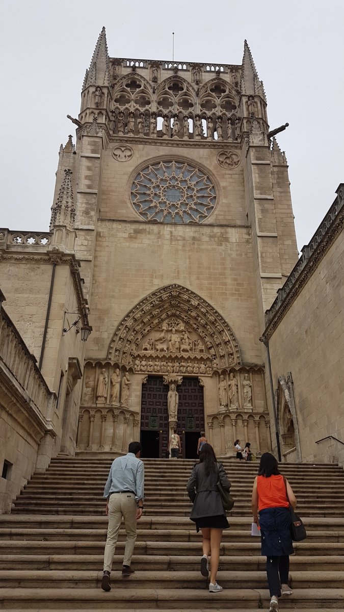 20170625_131657.jpg 25. Juni 2017